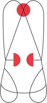 M-077 CAMP - Imbracatura completa Vertical (2).webp